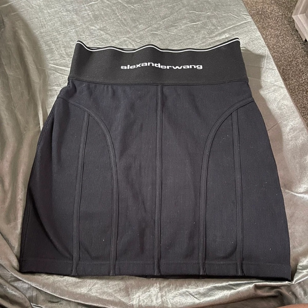 Alexander wang skirt